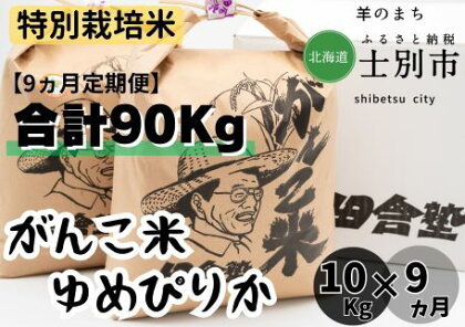 F7032（9ヵ月定期便）田舎塾特別栽培米「がんこ米ゆめぴりか」10kg×9ヵ月