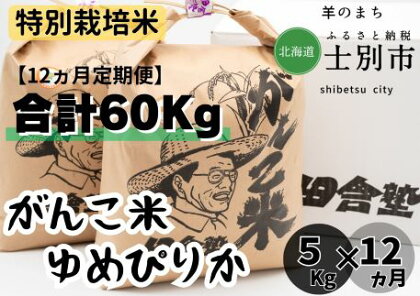 F7033（12ヵ月定期便）田舎塾特別栽培米「がんこ米ゆめぴりか」5kg×12ヵ月
