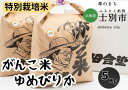 18位! 口コミ数「0件」評価「0」A7021田舎塾特別栽培米「がんこ米ゆめぴりか」5kg