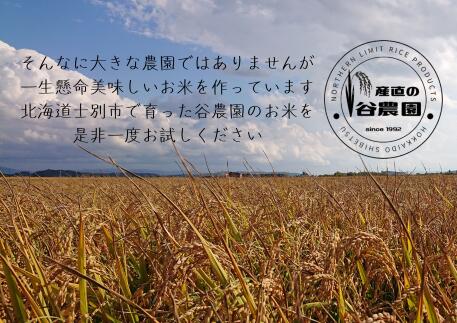 【ふるさと納税】（産直の谷農園）※定期便※　産地直送米「ゆめぴりか」（5kg×4ヵ月） 3