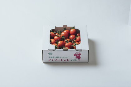 【予約受付】（R6.7以降発送） 有機JASフルーツイナゾトマト　1kg