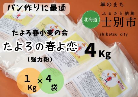 【ふるさと納税】（北海道士別市）たよろの春よ恋（強力粉）1kg×4袋