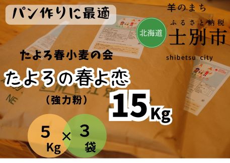 楽天ふるさと納税　【ふるさと納税】（北海道士別市）たよろの春よ恋（強力粉）5kg×3袋