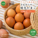 名称：鶏卵（生食用） 内容量：40個 原産地：北海道士別市 賞味期限：発送日から21日間 選別包装者：ファームあるむ　崎原元貴 　　　　　　北海道士別市上士別町24線南53 保存方法：要冷蔵 使用方法：賞味期限を過ぎたものは加熱してお召し上がりください。 +‥‥‥‥‥‥‥‥‥‥‥‥‥‥‥‥‥‥‥‥‥‥‥‥‥‥‥‥‥‥‥+ 黄味が甘く、うまみたっぷり。塩味のたまごかけごはんがおいしい「昔ながらの庭先たまご」 ファームあるむは自然豊かな上士別町の平飼い養鶏場です。「ネラ」というたまごもお肉も美味しい黒い鶏を少数で大切に育てています。 鶏たちはのびのびと鶏舎の中で放し飼い。ヒナの時から薬剤を使用せず、かぼちゃや牧草、小麦といった士別近郊の農産物を中心とする道産のえさで育った鶏たちのたまごは、濃厚な味わいと臭みのなさが特徴。 たまご好きな方だけでなく、たまごが苦手という方でもおいしく食べることができるとご好評をいただいています。たまごかけごはんに、オムレツやお菓子作りにもおすすめです。 +‥‥‥‥‥‥‥‥‥‥‥‥‥‥‥‥‥‥‥‥‥‥‥‥‥‥‥‥‥‥‥+ ・ふるさと納税よくある質問はこちら ・寄附申込みのキャンセル、返礼品の変更・返品はできません。あらかじめご了承ください。「ふるさと納税」寄付金は、下記の事業を推進する資金として活用してまいります。 寄付を希望される皆さまの想いでお選びください。 (1) こだわり交流プロジェクト (2) いきいき健康プロジェクト (3) すくすく子育てプロジェクト (4) さわやか環境プロジェクト (5) はつらつ産業プロジェクト (6) 指定事業なし 入金確認後、注文内容確認画面の【注文者情報】に記載の住所にお送りいたします。 発送の時期は、寄附確認後2ヵ月以内をを目途に、お礼の特産品とは別にお送りいたします。