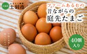 名称：鶏卵（生食用） 内容量：40個 原産地：北海道士別市 賞味期限：発送日から21日間 選別包装者：ファームあるむ　崎原元貴 　　　　　　北海道士別市上士別町24線南53 保存方法：要冷蔵 使用方法：賞味期限を過ぎたものは加熱してお召し上がりください。 +‥‥‥‥‥‥‥‥‥‥‥‥‥‥‥‥‥‥‥‥‥‥‥‥‥‥‥‥‥‥‥+ 黄味が甘く、うまみたっぷり。塩味のたまごかけごはんがおいしい「昔ながらの庭先たまご」 ファームあるむは自然豊かな上士別町の平飼い養鶏場です。「ネラ」というたまごもお肉も美味しい黒い鶏を少数で大切に育てています。 鶏たちはのびのびと鶏舎の中で放し飼い。ヒナの時から薬剤を使用せず、かぼちゃや牧草、小麦といった士別近郊の農産物を中心とする道産のえさで育った鶏たちのたまごは、濃厚な味わいと臭みのなさが特徴。 たまご好きな方だけでなく、たまごが苦手という方でもおいしく食べることができるとご好評をいただいています。たまごかけごはんに、オムレツやお菓子作りにもおすすめです。 +‥‥‥‥‥‥‥‥‥‥‥‥‥‥‥‥‥‥‥‥‥‥‥‥‥‥‥‥‥‥‥+ ・ふるさと納税よくある質問はこちら ・寄附申込みのキャンセル、返礼品の変更・返品はできません。あらかじめご了承ください。「ふるさと納税」寄付金は、下記の事業を推進する資金として活用してまいります。 寄付を希望される皆さまの想いでお選びください。 (1) こだわり交流プロジェクト (2) いきいき健康プロジェクト (3) すくすく子育てプロジェクト (4) さわやか環境プロジェクト (5) はつらつ産業プロジェクト (6) 指定事業なし 入金確認後、注文内容確認画面の【注文者情報】に記載の住所にお送りいたします。 発送の時期は、寄附確認後2ヵ月以内をを目途に、お礼の特産品とは別にお送りいたします。