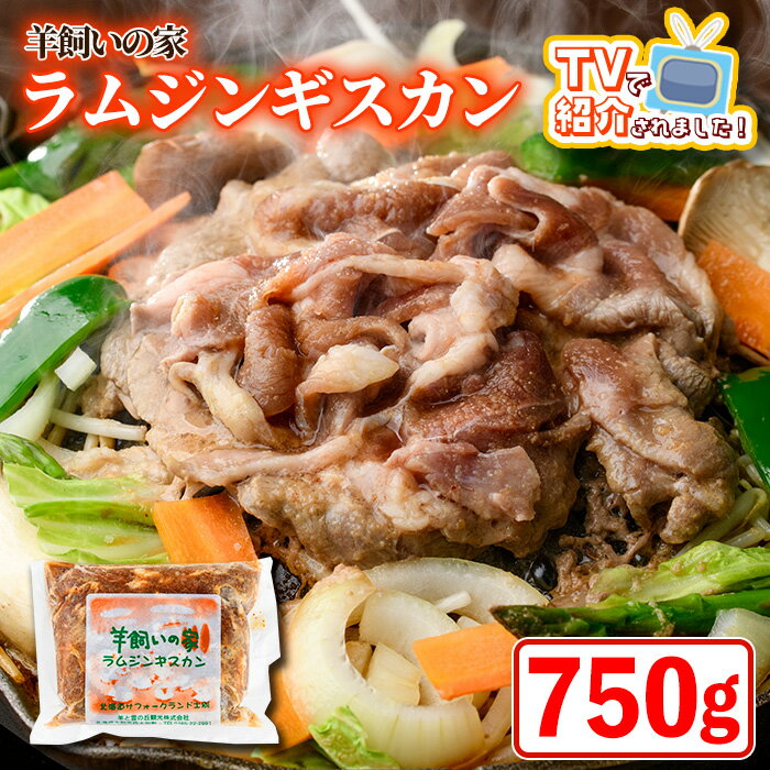＼テレビで紹介されました/羊飼いの家 特製 ラム ジンギスカン (750g×1袋) 羊 羊肉 ラム肉 冷凍 焼肉 ジンギスカン ラムジンギスカン 醤油ベース タレ 味付き BBQ バーベキュー [羊と雲の丘観光]
