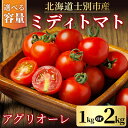 【ふるさと納税】《期間限定・選べる容量》中玉トマト アグリオーレ (1...(4)