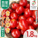 【ふるさと納税】<特別栽培>北海道士別市産 きらめきトマト Mサイズ (1.8kg) 【2025年7月から順次発送】野菜 とまと トマト 新鮮 産地直送 甘い 完熟 リコピン 北海道 北海道産 国産 旬 【あったかふぁーむ】