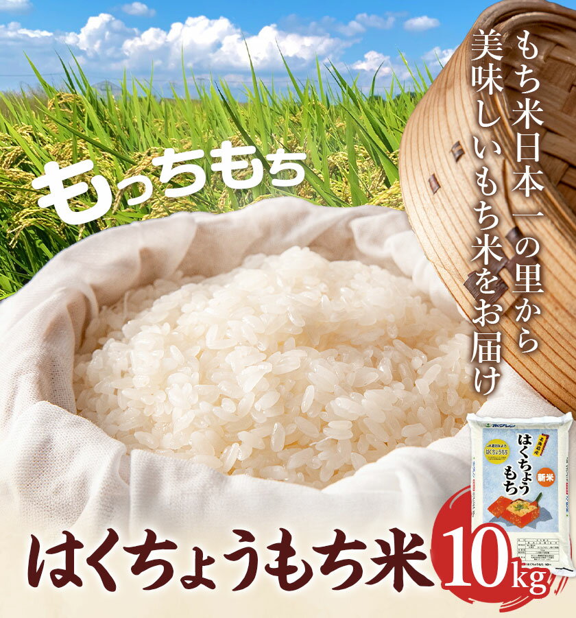【ふるさと納税】令和7年産 はくちょうもち米 10kg お米 こめ もち米 観光まちづくり協会《10月下旬頃出荷予定》北海道 名寄市 白米 精米 餅 ご飯 ごはん 国産