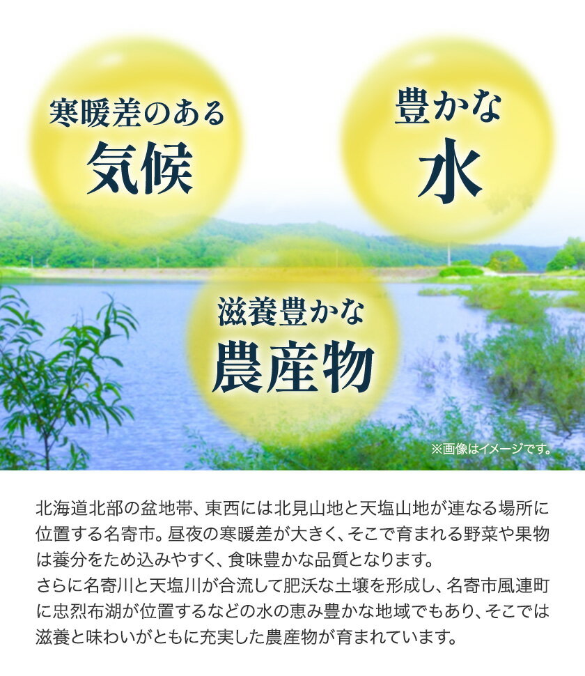 【ふるさと納税】中川農園&及川ファーム産 赤肉メロン(ルピアレッド) 秀品2玉 NPO法人なよろ観光まちづくり協会《2025年7月下旬～8月中旬頃出荷》　メロン 赤肉メロン ルピアレッド 2玉 北海道 名寄市 メロン フルーツ 果物 常温 st-p