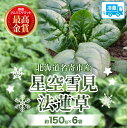 北海道名寄市の画像2