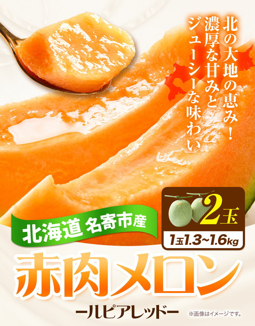 【ふるさと納税】メロン 赤肉メロン ルピアレッド 2玉 NPO法人なよろ観光まちづくり協会《2023年7月下旬～8月中旬頃出荷》北海道 名寄市 メロン フルーツ 果物 常温