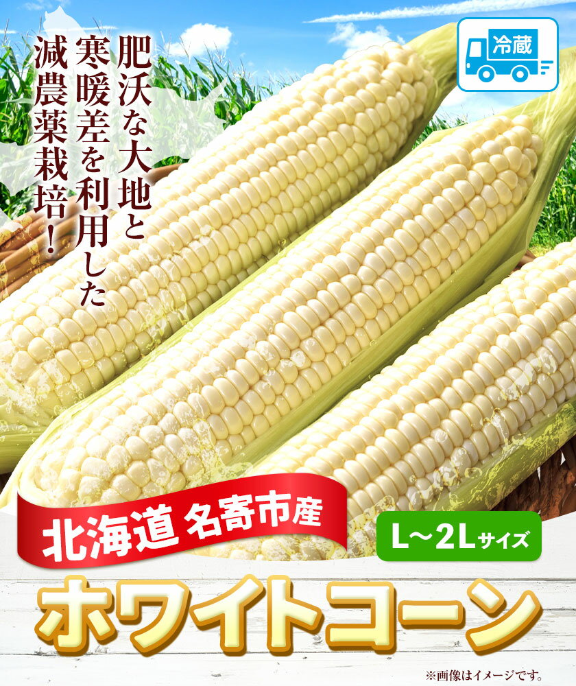 北海道名寄市の画像2