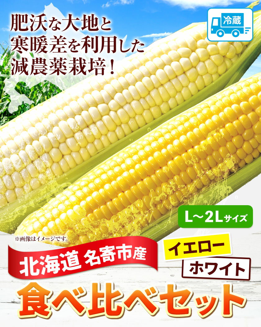 北海道名寄市の画像2