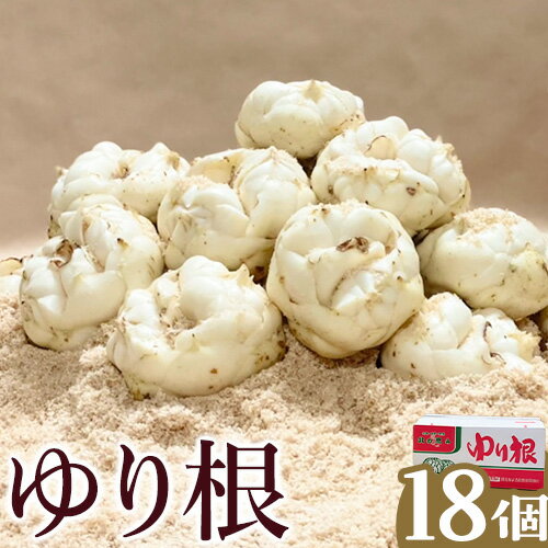 ڤդ뤵Ǽǡۤ꺬 L 182025ǯ10-11ܺв١