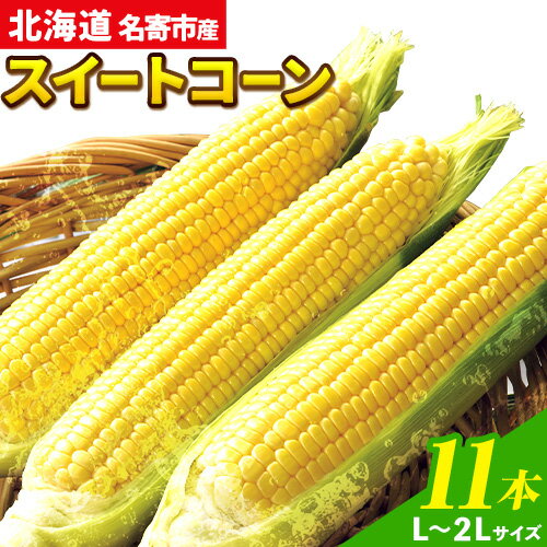 令和6年産 北海道名寄産スイートコーンイエロー L〜2Lサイズ11本 [8月中旬-9月中旬頃出荷予定] NPO法人なよろ観光まちづくり協会 北海道 とうもろこし トウモロコシ Lサイズ 2Lサイズ 取り寄せ 新鮮 産地直送 甘い 糖度 冷蔵 レビュー高評価