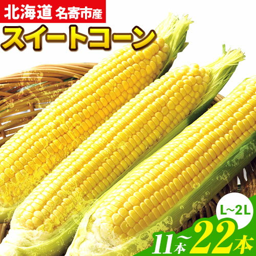 11位! 口コミ数「19件」評価「4」令和6年産 北海道名寄産スイートコーンイエロー L〜2Lサイズ11本 or 22本 《8月中旬-9月中旬頃出荷予定》 NPO法人なよろ観光ま･･･ 