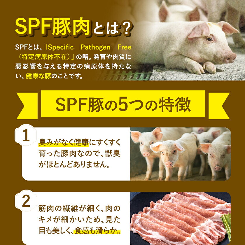 【ふるさと納税】北海道名寄市 鈴木ビビッドファーム しゃぶしゃぶ用すき焼き用 SPF豚肉セット1kg《30日以内に出荷予定(土日祝除く)》北海道 名寄市 送料無料 生姜焼き とんかつ 焼肉 ステーキ 国産 冷凍 食品 おかず 食卓 団らん 冷凍 1kg レビュー高評価