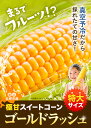 北海道名寄市の画像2