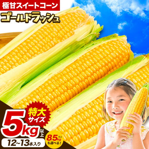 【ふるさと納税】【特大】 とうもろこし 極甘 スイートコーン 「 ゴールドラッシュ 」 5kg 以上 12～13本 8.5kg 以上 20～22本 特大 サイズ《 7月 下旬- 9月 中旬頃出荷予定》 朝採れ 真空予冷 冷蔵 高糖度 先行予約 夏野菜 セット 今が旬 トウモロコシ ギフト お中元 コーン