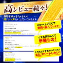 北海道名寄市の画像3