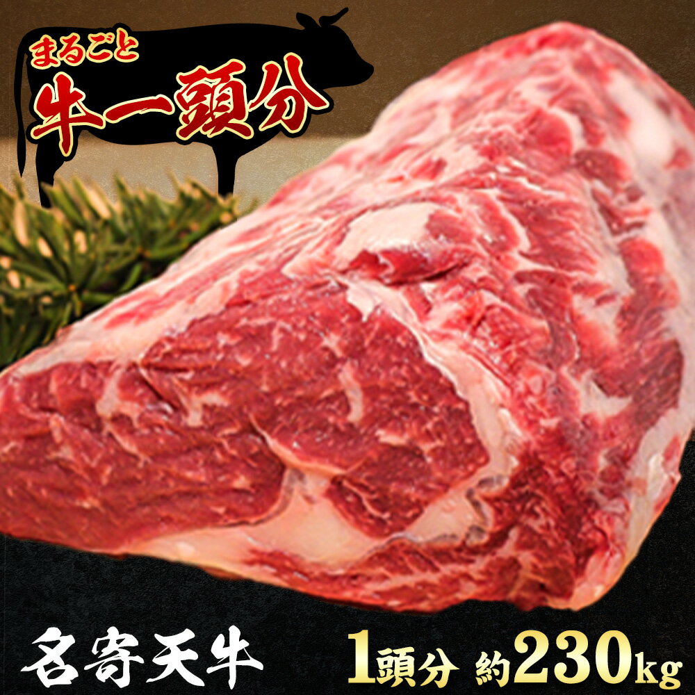 北海道 名寄市 ニチロ畜産 なよろ天牛 1頭分[ご寄附から2ヶ月前後]北海道 名寄市 牛 牛肉 ロース ヒレ バラ モモ カタ ウデ バーベキュー ステーキ 焼肉 炒め物