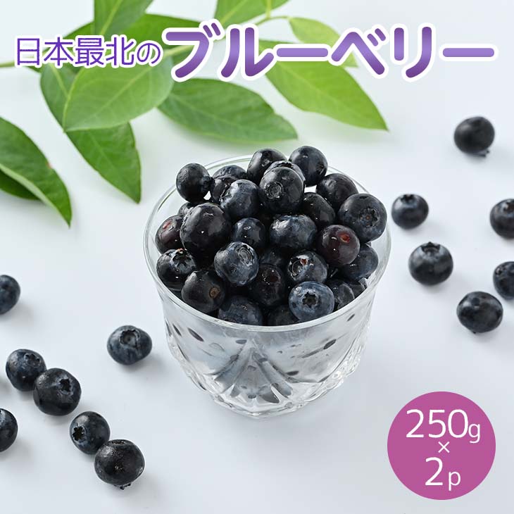 【ふるさと納税】令和6年度産「日本最北のブルーベリー」250g×2パック ≪フルーツ 果物 予約 北海道産 無農薬 積み立て 新鮮≫※離島への配送不可《2024年7月下旬～8月下旬頃出荷》のサムネイル
