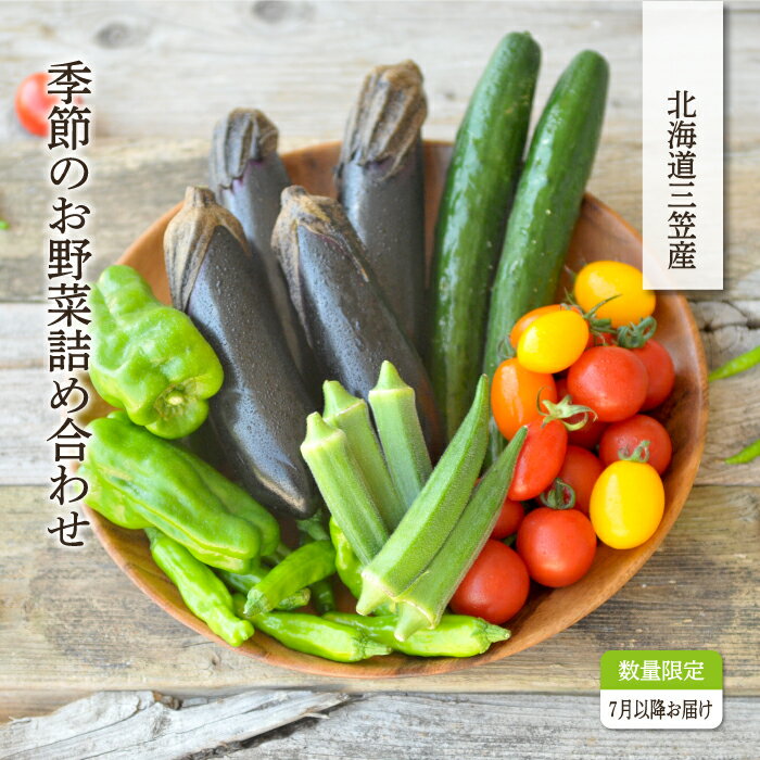 【ふるさと納税】《令和6年分》数量限定！季節のお野菜詰め合わせ 夏(配送時期：7月～8月)【01017】