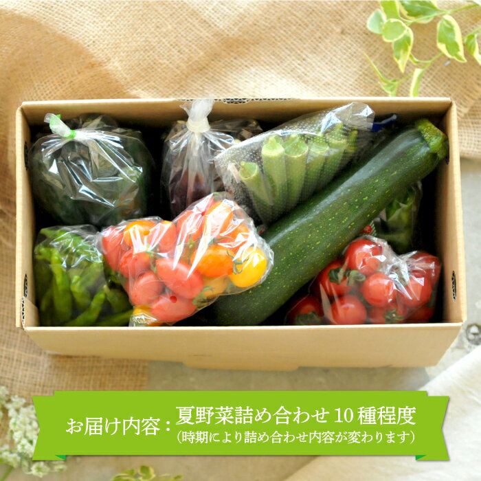 【ふるさと納税】《令和6年分》数量限定！季節のお野菜詰め合わせ 夏(配送時期：7月～8月)【01017】