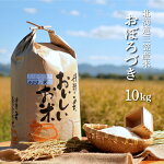 《令和3年産》三笠産のおいしい米おぼろづき(10kg)【01013】