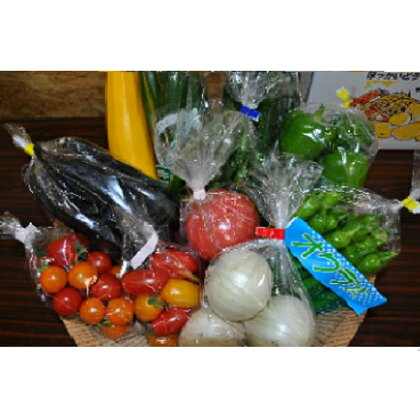 季節の野菜詰め合わせ(夏)