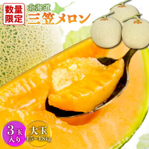 【ふるさと納税】【SDGs】《2025年分受付中》とろける食感と甘い香り北海道三笠メロン3玉入(4.5kg~4.8kg) メロン 3玉 フルーツ 4kg 果物 デザート グルメ 旬 取り寄せ 贈り物 ふるさと納税 三笠市 三笠【0100202】
