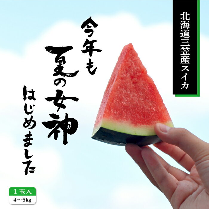 [2025年分受付中]『夏の女神』種が少なくて甘い黒皮スイカ1玉入(中玉4〜6kg)[01005]