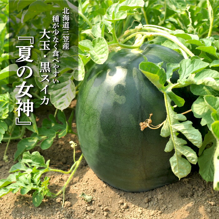 [2025年分受付中]『夏の女神』大玉!種が少なくて甘い黒皮スイカ1玉入(6〜8kg)[01061]