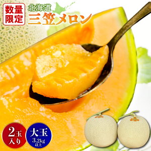 【ふるさと納税】【SDGs】《2025年分受付中》大玉!とろける食感の北海道三笠メロン2玉入(3.2kg以上) メロン 2玉 フルーツ 3.2kg 果物 デザート グルメ 旬 取り寄せ 贈り物 ふるさと納税 三笠市 三笠【0106202】