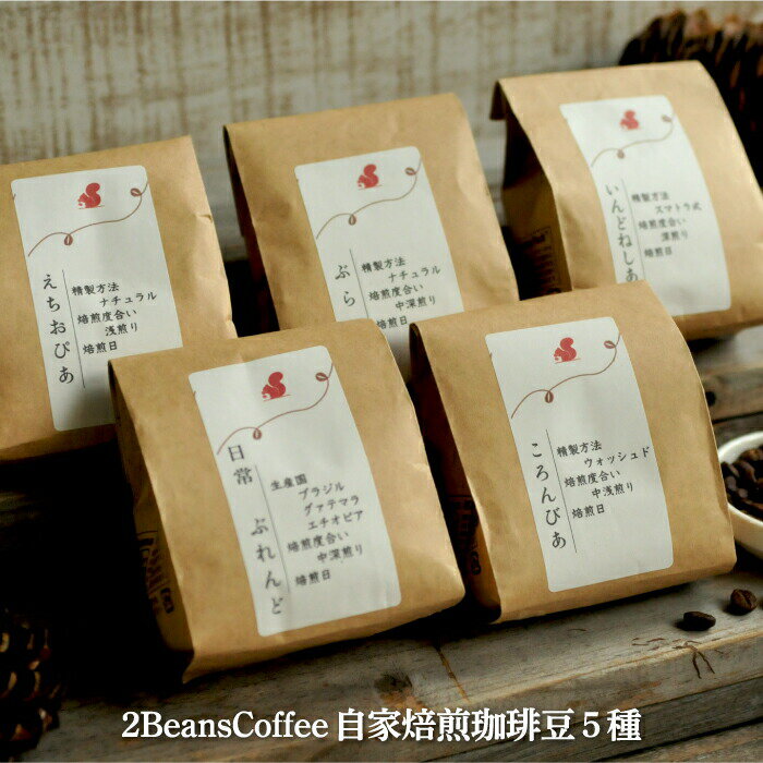 北海道三笠市 2 Beans Coffeeカフェ 自家焙煎 珈琲豆セット(100g×5種類) コーヒー 珈琲 珈琲豆 コーヒー豆 焙煎 coffee ふるさと納税 北海道 三笠市 三笠[06001]