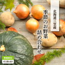 【ふるさと納税】《令和7年分》数量限定!季節のお野菜詰め合わせ 秋(配送時期:9月~10月)【01018】