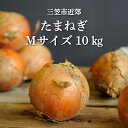 【ふるさと納税】【2023年秋発送】三笠aroundたまねぎMサイズ10kg【33003】