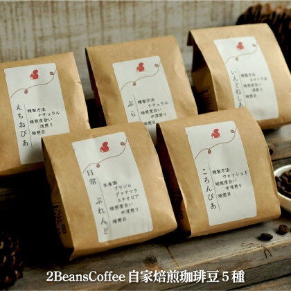 北海道三笠市 2 Beans Coffeeカフェ 自家焙煎 珈琲豆セット(100g×5種類) コーヒー 珈琲 珈琲豆 コーヒー豆 焙煎 coffee ふるさと納税 北海道 三笠市 三笠 【06001】