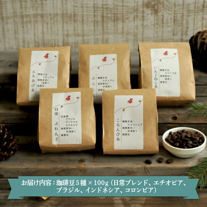 【ふるさと納税】 北海道三笠市 2 Beans Coffeeカフェ 自家焙煎 珈琲豆セット(100g×5種類) コーヒー 珈琲 珈琲豆 コーヒー豆 焙煎 coffee ふるさと納税 北海道 三笠市 三笠 【06001】