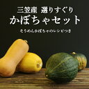 令和6年10月上旬以降の発送となりますので、あらかじめご了承願います。 ・黒皮かぼちゃ さっぱりとした味わいで、まろやかな甘みときめ細かな舌ざわりと上品な甘みがある。 煮崩れしないので煮物に向いています。 ・雪化粧 皮が白く、味は粉質で甘み...