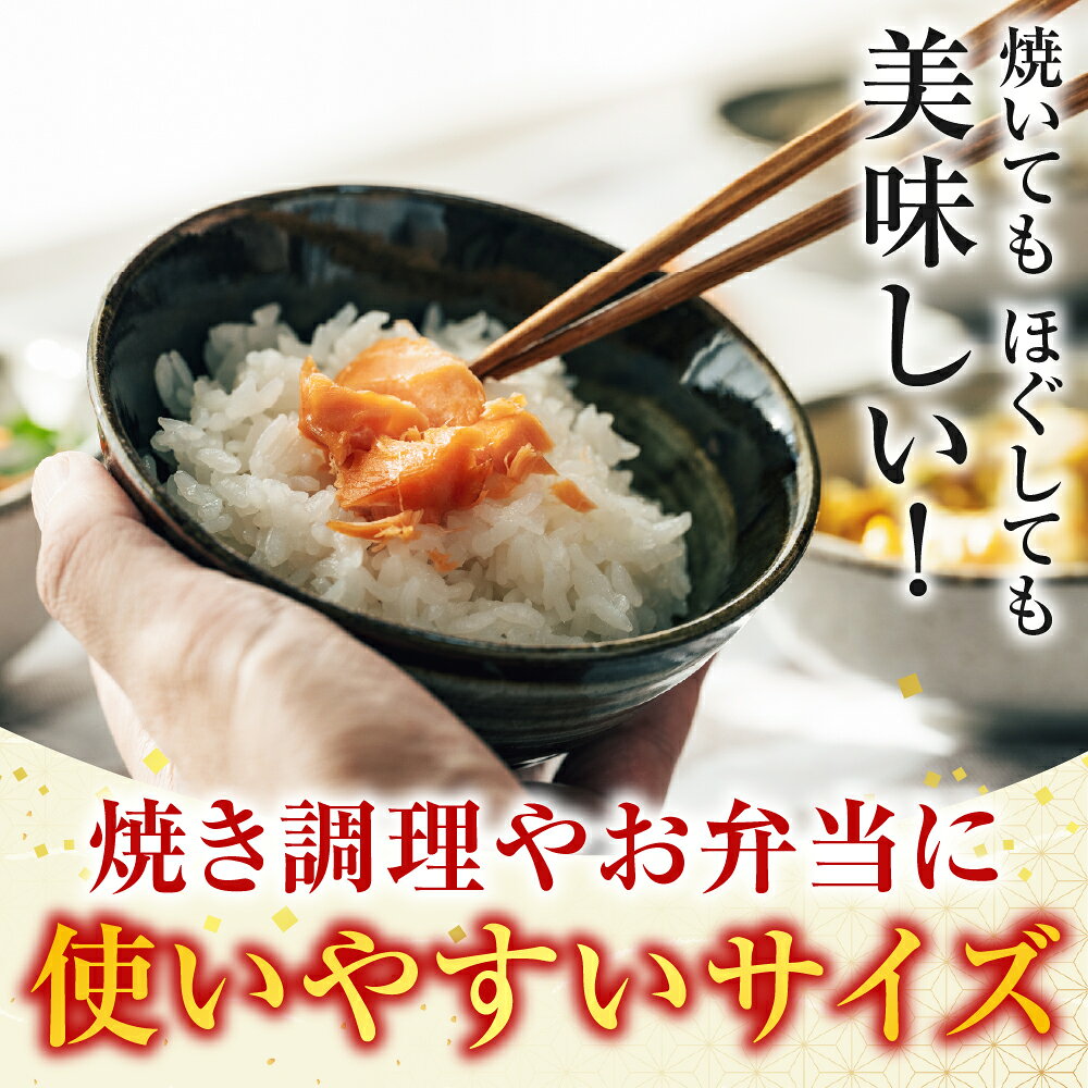 【ふるさと納税】 [北海道根室産] ＜鮭匠ふじい＞ 鮭・いくら詰合せ イクラ 醤油 醤油漬 醤油漬け 魚卵 鮭卵 鮭 さけ サケ しゃけ シャケ 魚 さかな サカナ 秋鮭 秋ざけ 秋ザケ あきざけ アキザケ 海鮮 塩漬け 塩ざけ 塩鮭 北海道 A-42064 f012238-nemuro-10003158 北海道根室市 サンプル画像3
