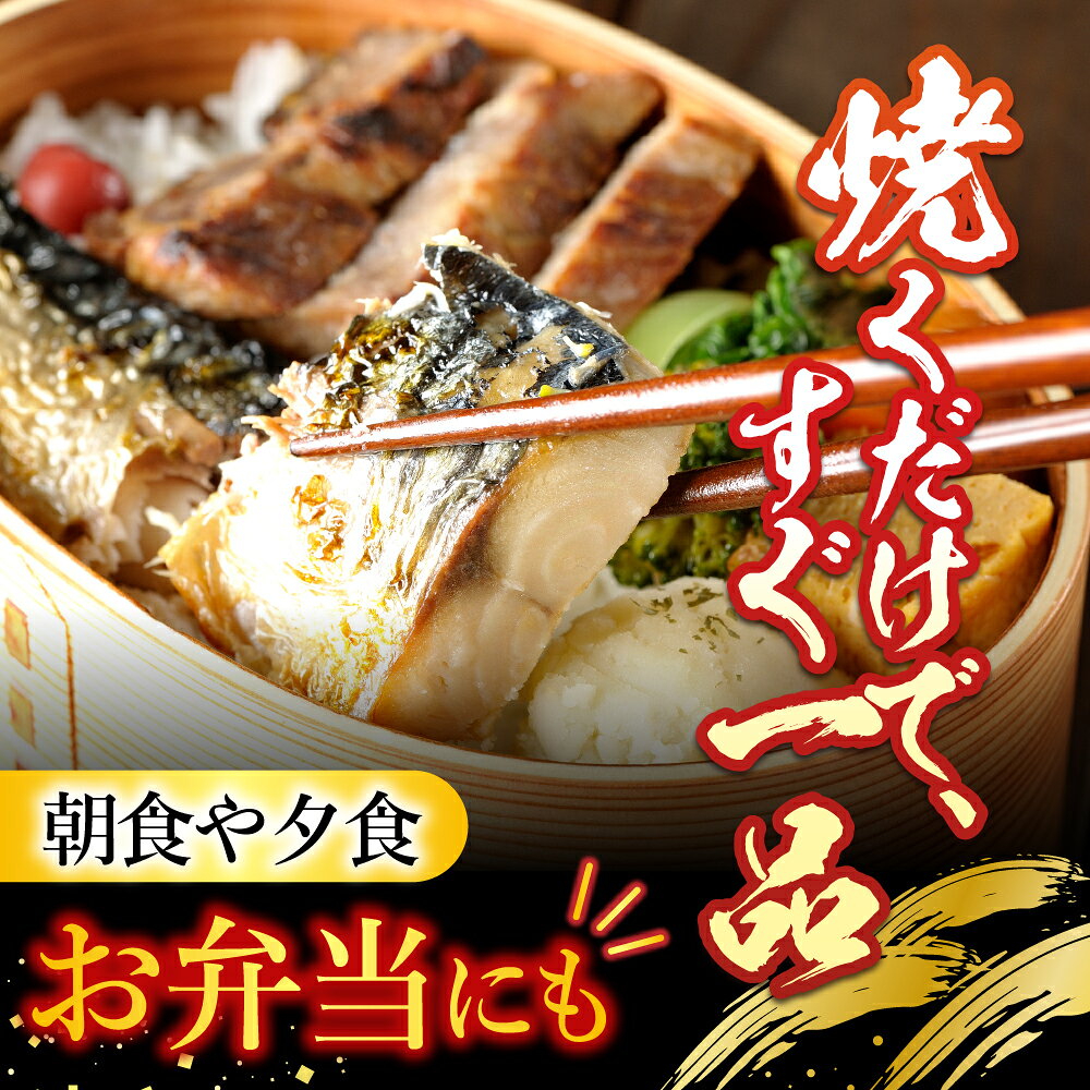 【ふるさと納税】 [個包装] 塩さばフィレ 選べる 18P ~ 36P サバ 鯖 加工品 魚 さかな サカナ お取り寄せ グルメ 個包装 塩サバ 塩鯖 しおさば 甘口 海鮮 北海道 根室市 ふるさと納税 f012238-nemuro-10004035 北海道根室市 サンプル画像3