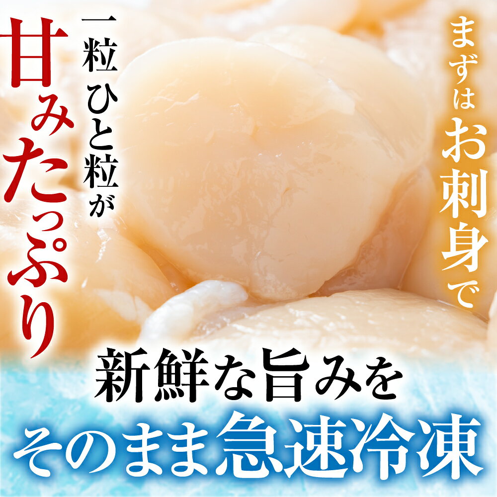【ふるさと納税】 [北海道根室産] お刺身ほたて貝柱 選べる 350g ~ 1.6kg ホタテ ほたて 帆立 帆立貝柱 ほたて貝柱 ホタテ貝柱 貝柱 お取り寄せ グルメ 海鮮 北海道 根室市 ふるさと納税
