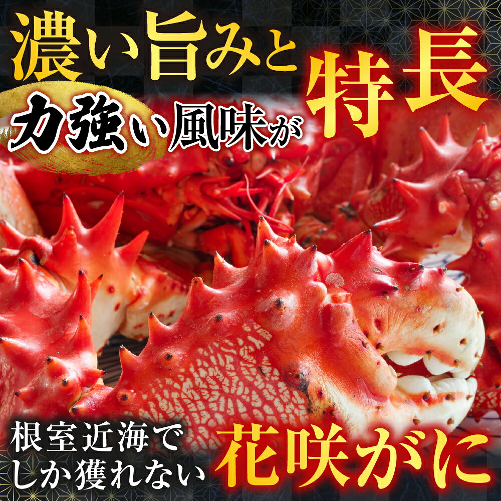 【ふるさと納税】 [北海道根室産] 花咲かに400g前後〜550g前後×3尾 花咲がに 花咲 花咲ガニ 花咲蟹 かに カニ 蟹 お取り寄せ グルメ 海鮮 北海道 根室市 ふるさと納税 A-36029