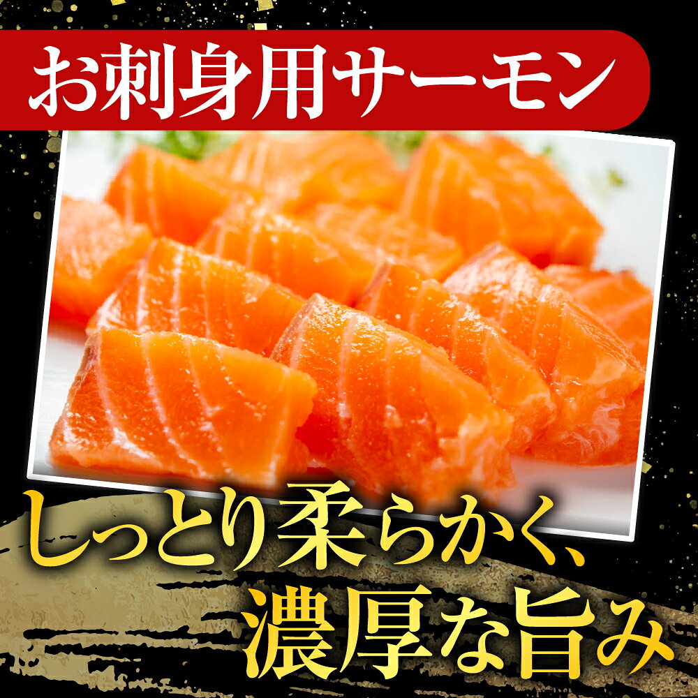 【ふるさと納税】 お刺身トラウトサーモン 2 ~ 3 本 ( 計 700g ) ＆鮭とば 100g × 1P 鮭 さけ サケ しゃけ シャケ 魚 さかな サカナ お取り寄せ グルメ 海鮮 さけとば 鮭トバ サケトバ 北海道 根室市 ふるさと納税 A-09123 f012238-nemuro-10006253 北海道根室市 サンプル画像3