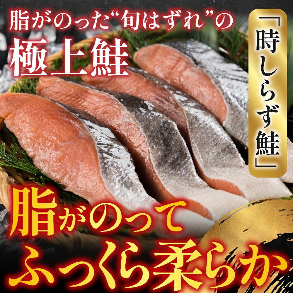 【ふるさと納税】 [北海道根室産] 時しらず鮭切身 1 切 × 7P 鮭 さけ サケ しゃけ シャケ 魚 さかな サカナ 沖どれザケ 沖どれざけ 春ザケ 春ざけ 春鮭 時不知 時鮭 ときしらず グルメ 海鮮 切り身 切身 塩ざけ 塩鮭 北海道 A-42140 f012238-nemuro-10007592 北海道根室市 サンプル画像2