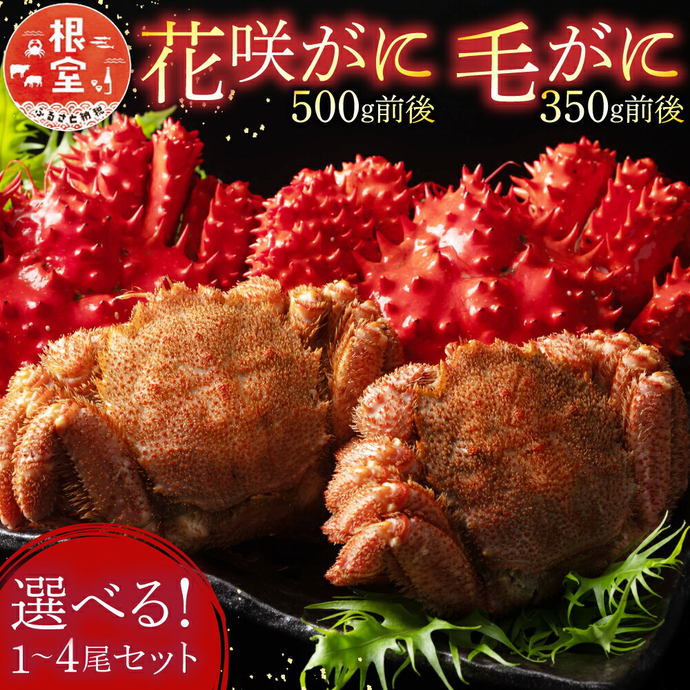 【ふるさと納税】【12月21日決済確定分まで年内配送】 花咲がに 500g 前後、毛がに 350g 前後セット 各 1 尾 ( 計 2 尾 ) 〜 各 4 尾 ...