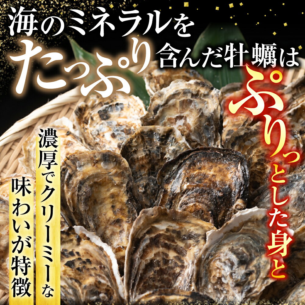 【ふるさと納税】 【北海道根室産】貝付き牡蠣 選べる 20 個 ~ 80 個 かき カキ 貝 海鮮 海産物 お取り寄せ グルメ 酢牡蠣 蒸し牡蠣 焼牡蠣 北海道 根室市 ふるさと納税 f012238-nemuro-10003812 北海道根室市 サンプル画像3