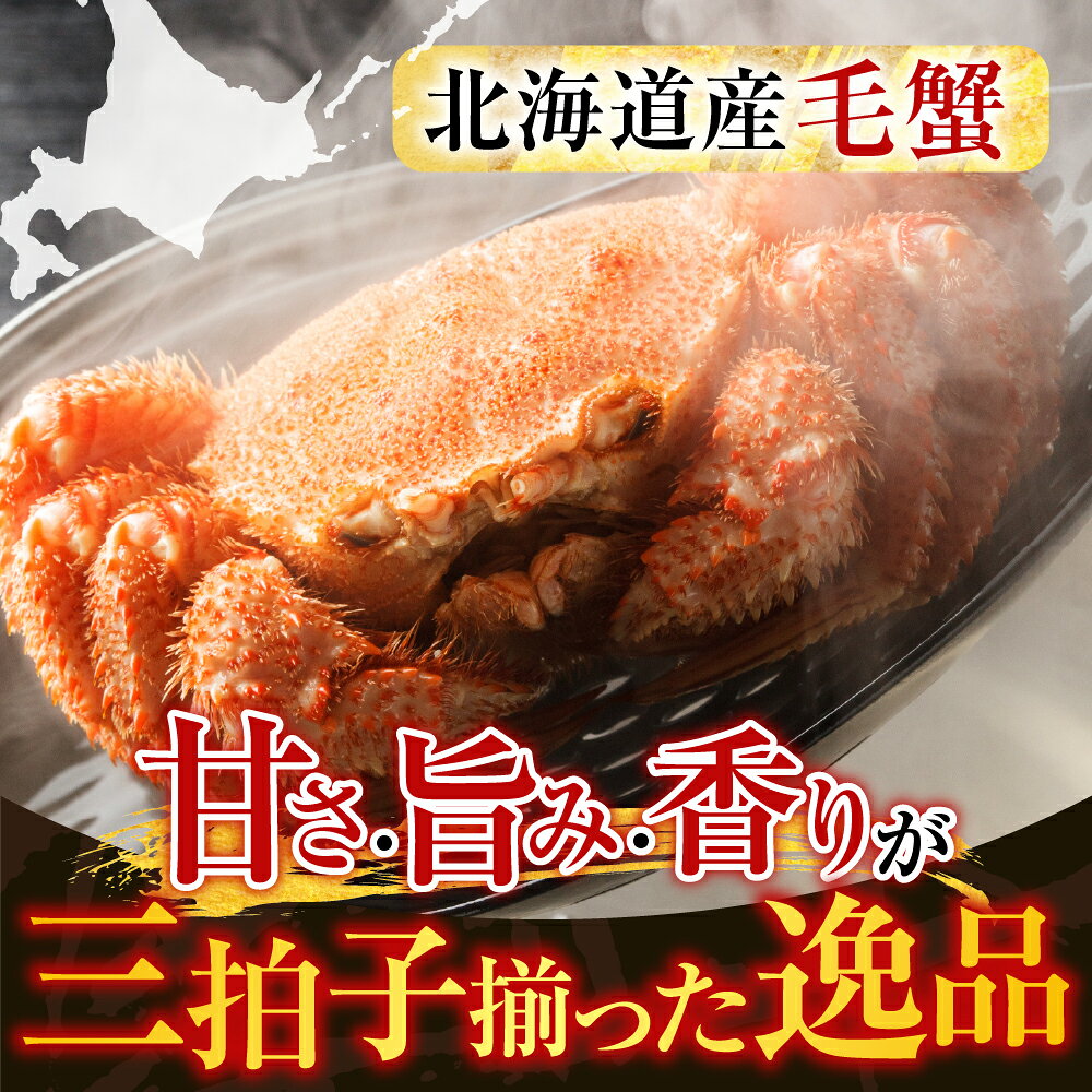 【ふるさと納税】根室海鮮市場＜直送＞ボイル毛がに600〜750g×1尾 B-28124 f012238-nemuro-10007785 北海道根室市 サンプル画像2